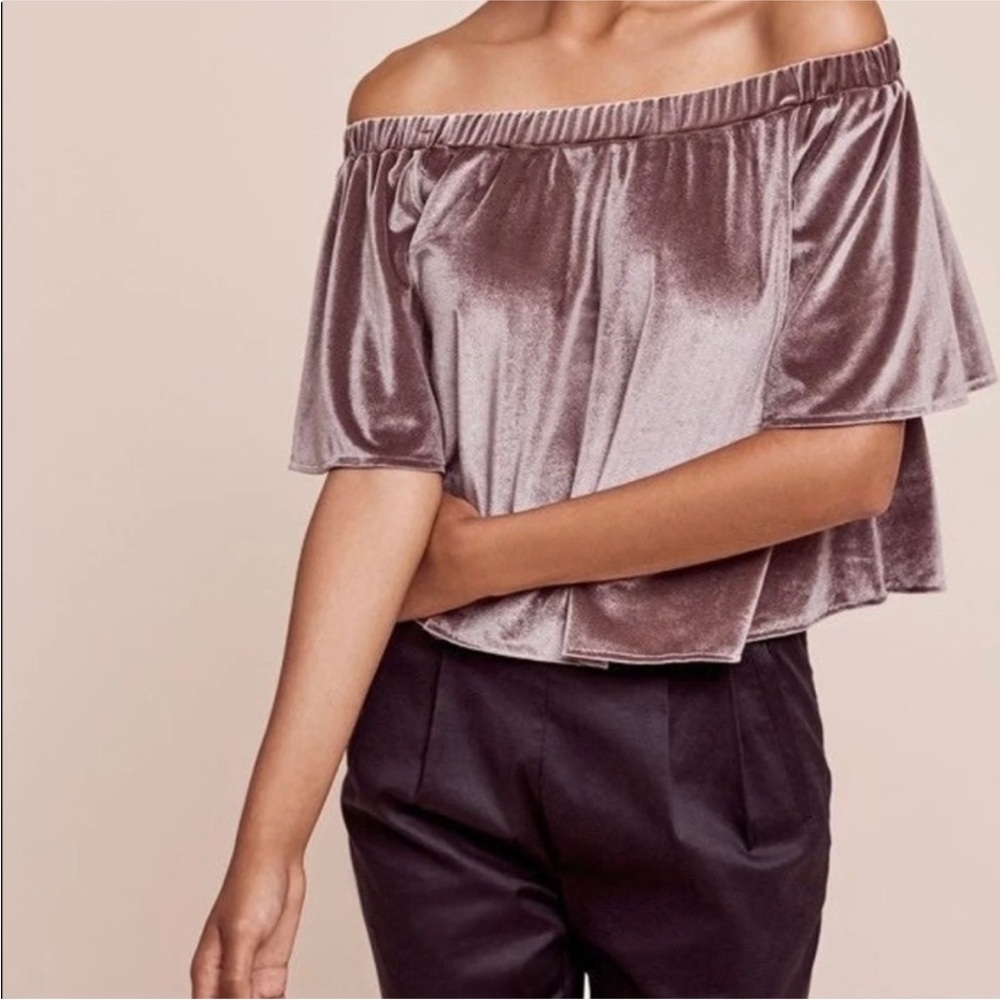 Anthropologie Sunday in Brooklyn Cropped Velvet Top